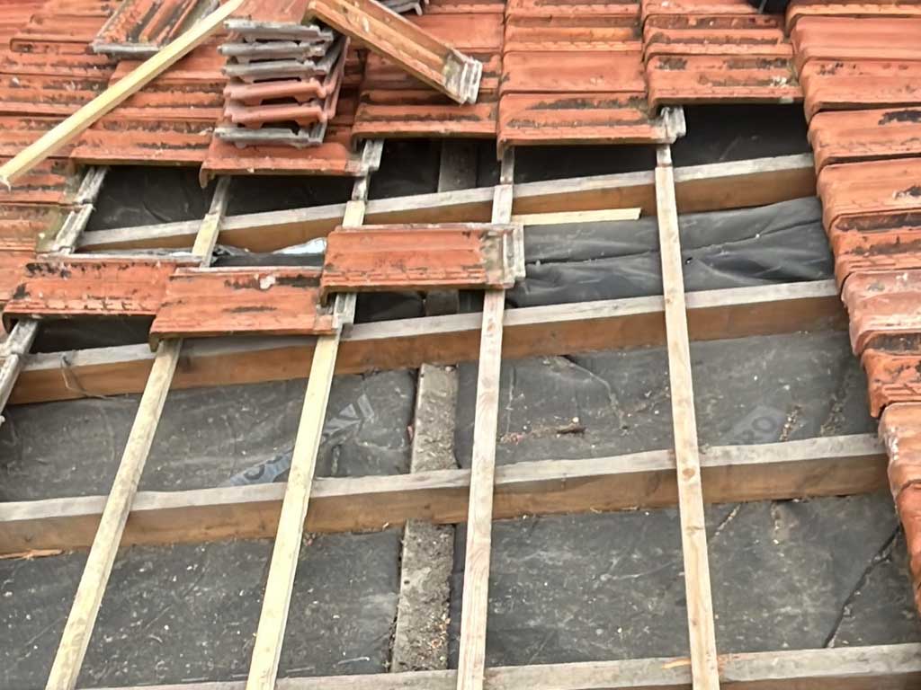 Traitement charpente